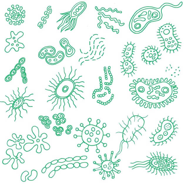 Microbios iconos de línea de virus y patógenos Bacteriología higiene e infección esbozan símbolos aislados