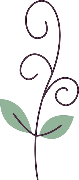 Microgreen de frijoles en brote