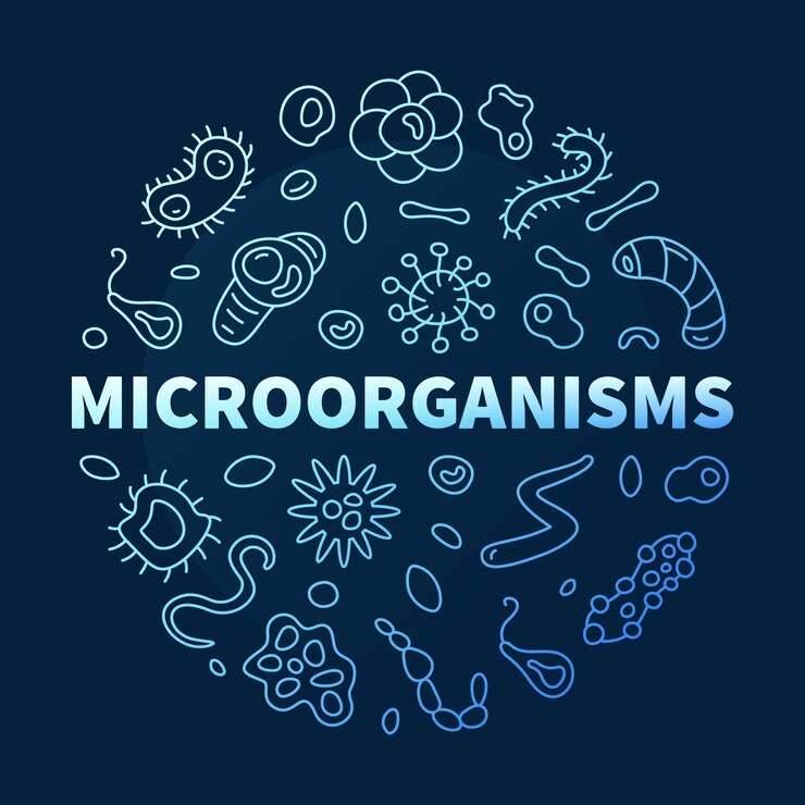 Vector microorganismos vector concepto de microorganismos esquema banner redondo azul o ilustración con signos de contorno de microorganismos y fondo oscuro