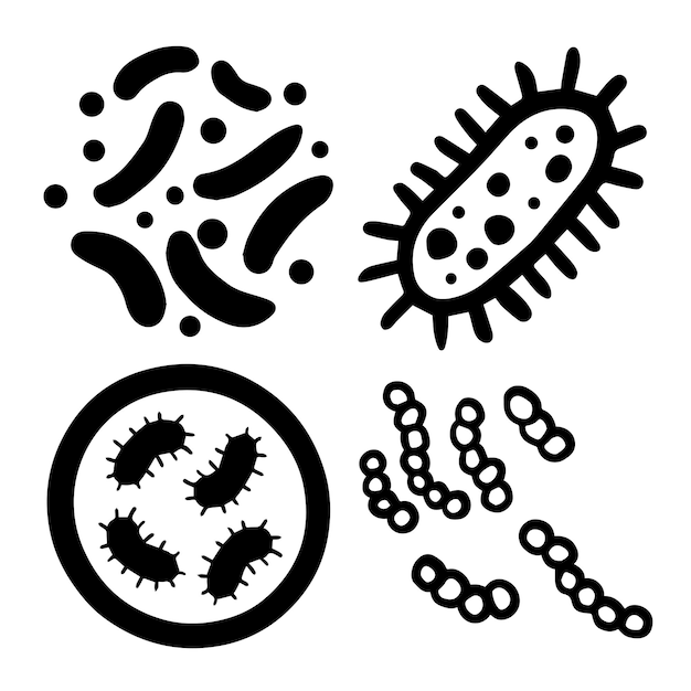 Microrganismos en forma de coccus vibrio