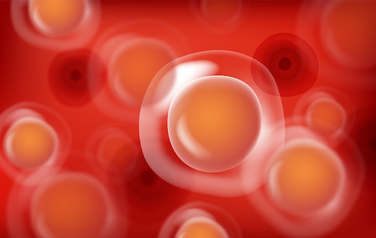 Vector microscopic view of red cells: a biology study