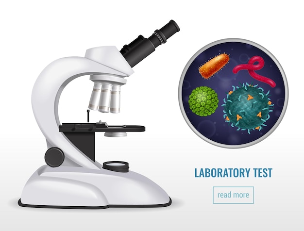 microscopio con virus o bacterias