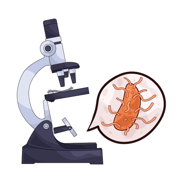 El microscopio