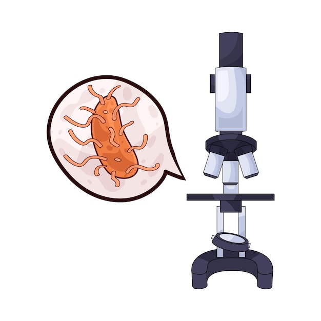 El microscopio