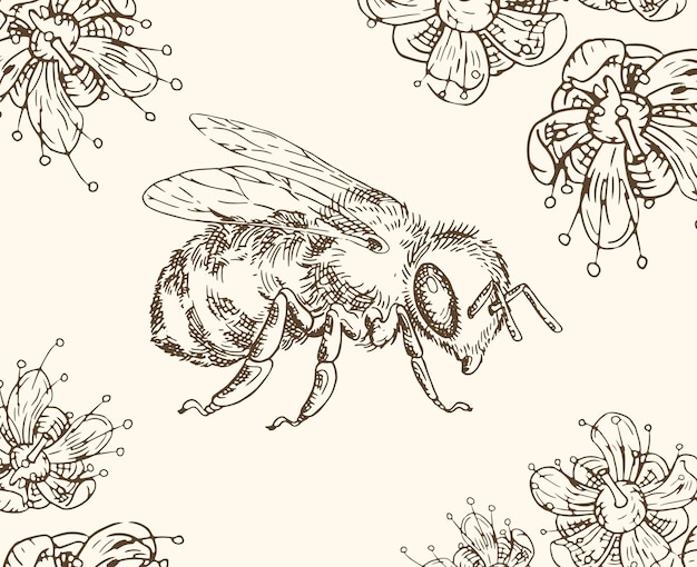 Vector miel de abeja con flores. estilo de eclosión vintage.