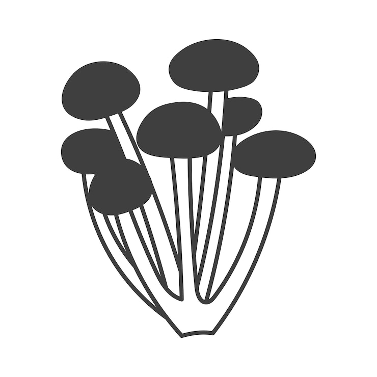 Vector la miel de agarico, los hongos, el doodle, el icono, los alimentos, los ingredientes, la ilustración vectorial.