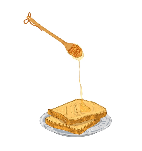 Miel que gotea del cucharón de madera sobre rebanadas de pan en un plato. Comida de desayuno dulce, postre saludable aislado sobre fondo blanco. Ilustración de vector dibujado a mano de color en elegante estilo retro.