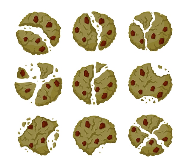 Vector migas de galleta de matcha de dibujos animados piezas de galletas de chispas de chocolate mordidas rotas conjunto de ilustración de vector plano de galletas rotas crujientes