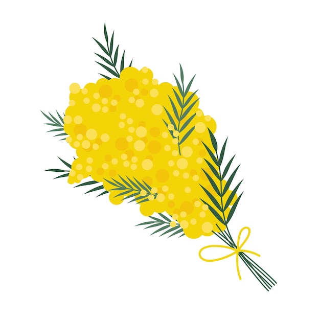 Mimosa flor ramo dibujos animados estilo moda moderna ilustración vectorial aislada sobre fondo blanco dibujado a mano plano