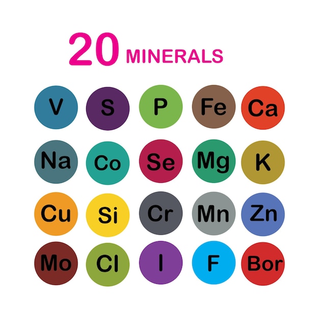 Minerales microelementos y macroelementos útiles para la salud humana fundamentos de alimentación saludable y estilos de vida saludables