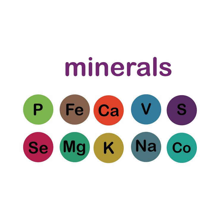 Vector minerales microelementos y macroelementos útiles para la salud humana fundamentos de alimentación saludable y estilos de vida saludables