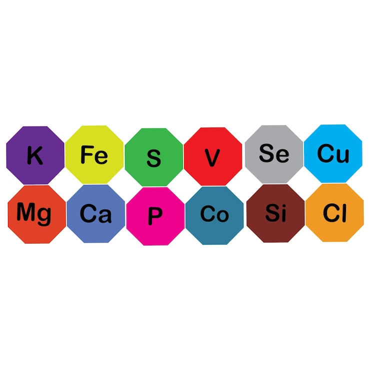 Vector minerales microelementos y macroelementos útiles para la salud humana fundamentos de alimentación saludable y estilos de vida saludables