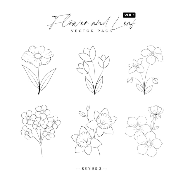 Minimal dibujado floral arte de línea botánica ramos abstractos vectores modernos de moda