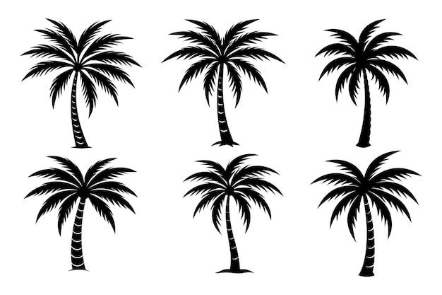 Minimalismo de verano vibra el árbol de palma Vector Art Bundle 6 diseños en fondo blanco