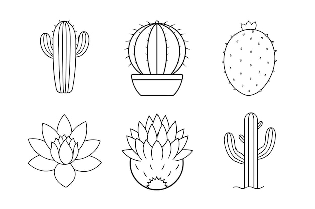Minimalista Cactus Line Art Bundle Saguaro espinosa pera barril órgano tubo erizo y flor de cactus
