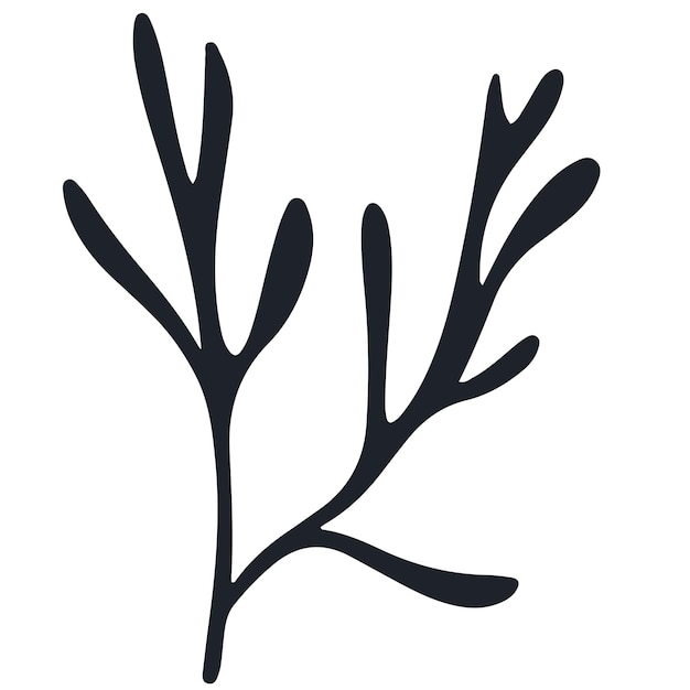 Minimalista Vector Clipart de algas marinas en estilo boho Decoración costera abstracta Silueta inspirada en el océano