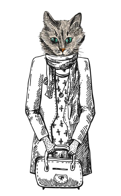 mirada de moda gato