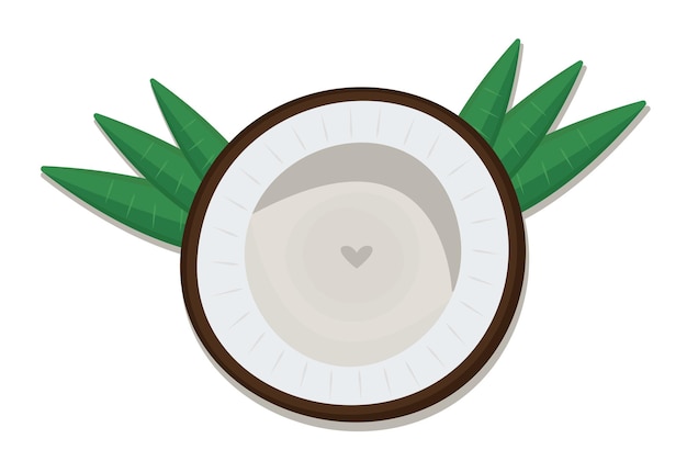 La mitad de coco con hojas de palma vista desde arriba amor a las nueces ilustración de color vectorial
