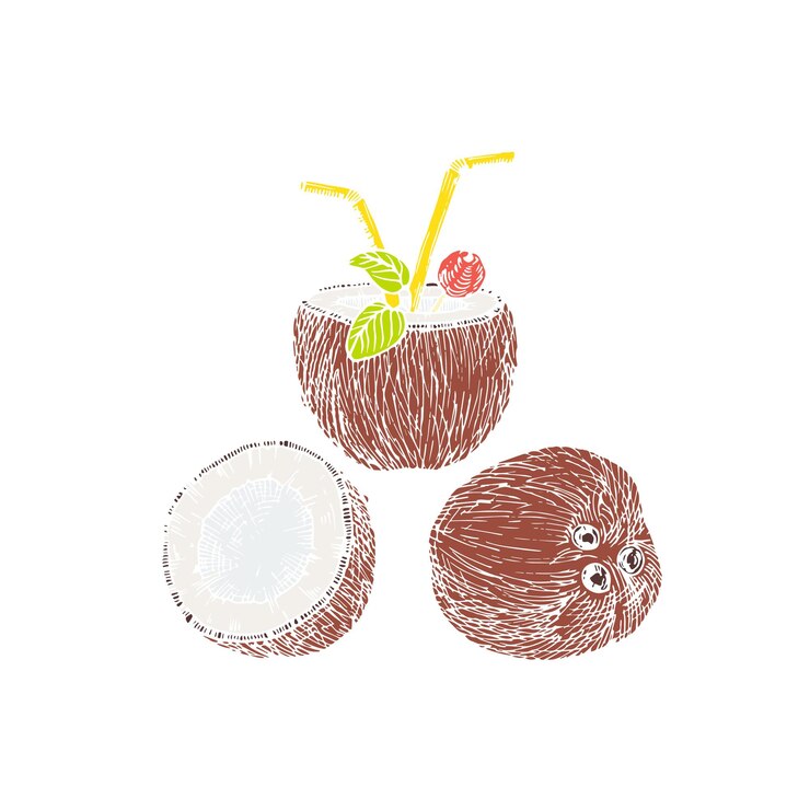 Vector la mitad de la composición del cóctel de coco y coco dibujo abstracto ilustración vectorial dibujada a mano