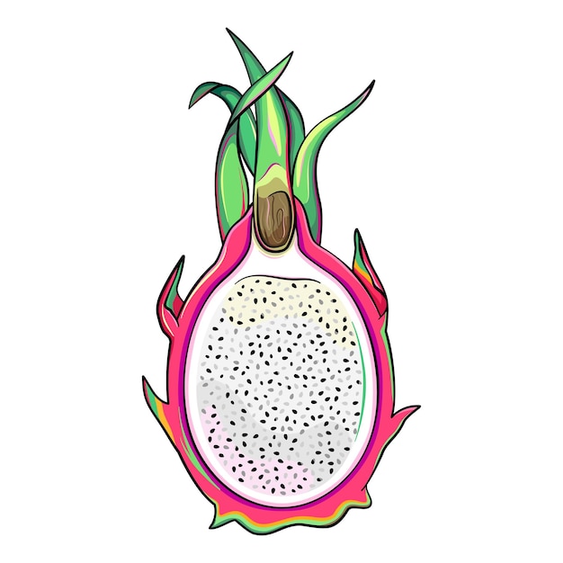 La mitad de una fruta de dragón, pitaya cortada, ilustración estilo catroon