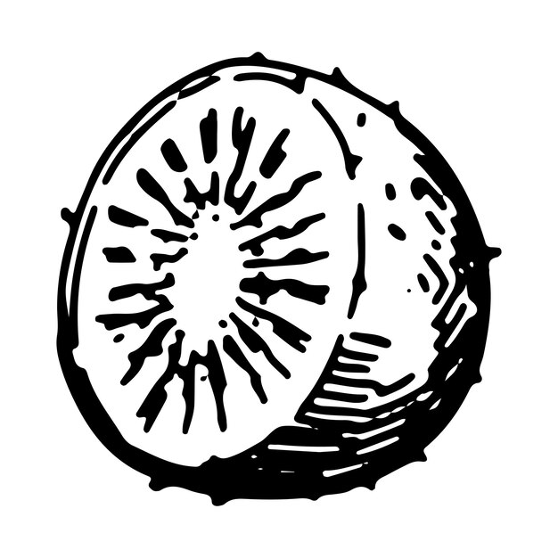 Vector la mitad de la fruta de kiwi sketch clipart dulce fruta exótica garabato aislado en blanco ilustración de vector dibujado a mano en estilo de grabado