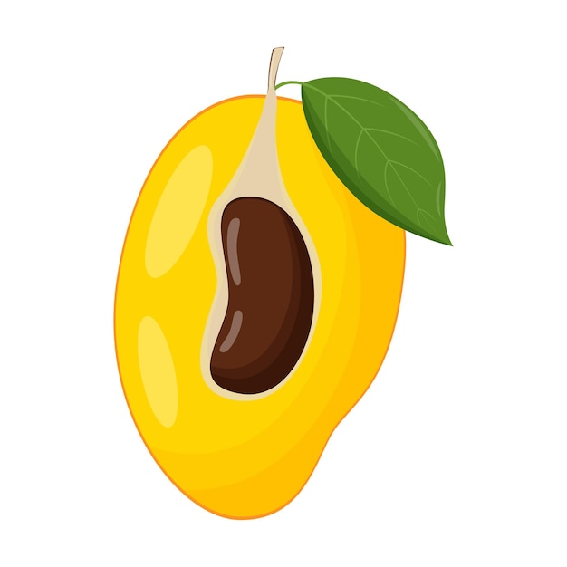 La mitad de mango sobre fondo blanco Ilustración de vector plano
