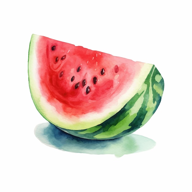 La mitad de la pintura de acuarela de sandía fresca aislada