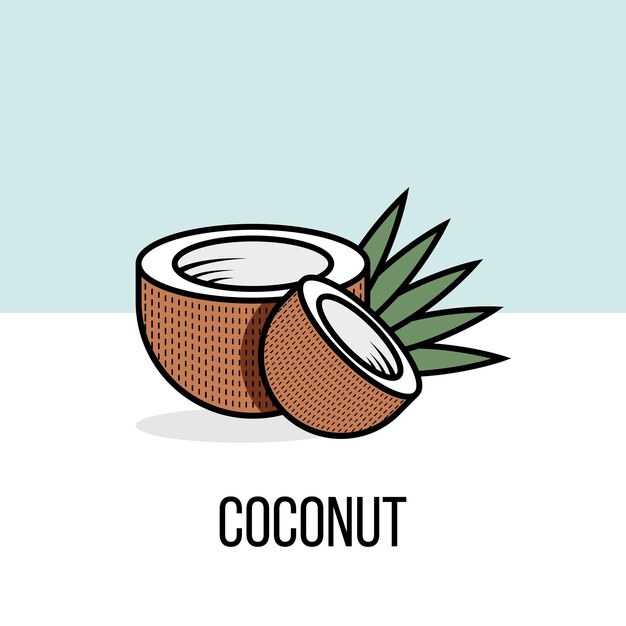 Mitades de coco con hojas. Vector ilustración plana. Producto natural de desintoxicación saludable. Producto tropical. Icono de coco colorido para libro de recetas o diseño de envases con contorno negro.