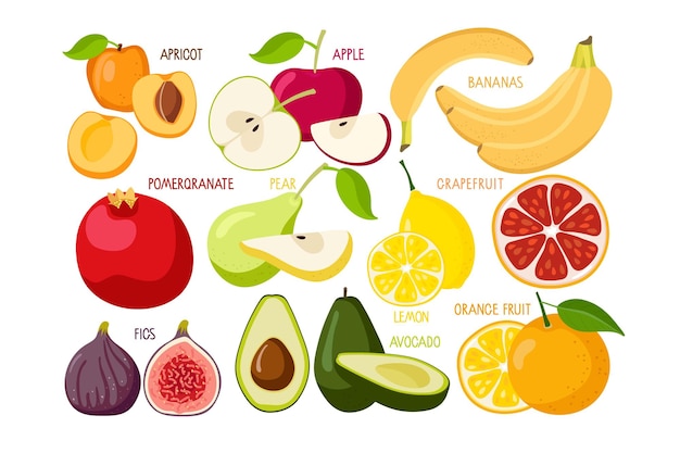 Mobilfruit set fruta tropical natural alimentos orgánicos frescos para productos agrícolas de banner de menú