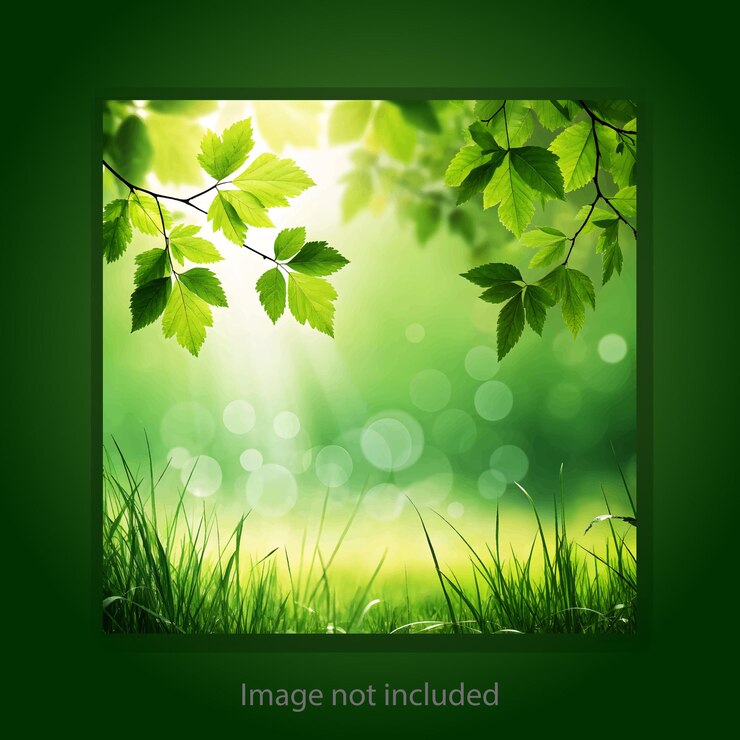 Vector mockup del diseño del producto premium nature beauty