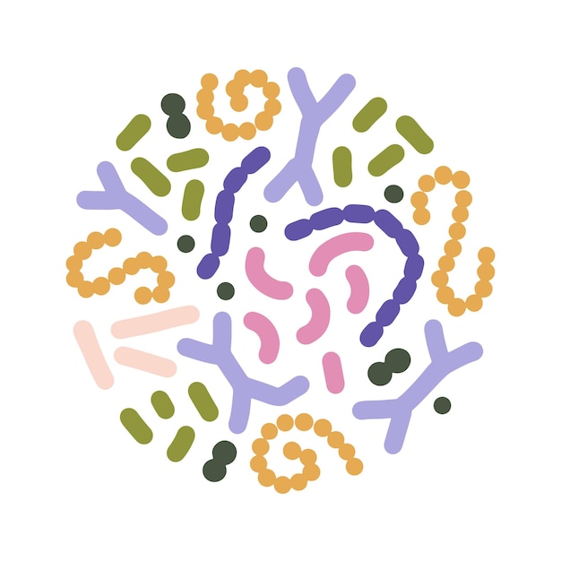 Mocrobione en concepto de forma redonda bifidobacterium lactobacillus streptococcus thermophilus lactococc