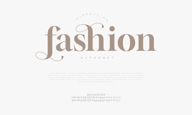 Moda tipografía belleza moda elegante minimalista serif cursiva fuentes decorativas bodas vintage logotipos retro fuentes de lujo mínimas logotipo alfabeto ilustración vectorial