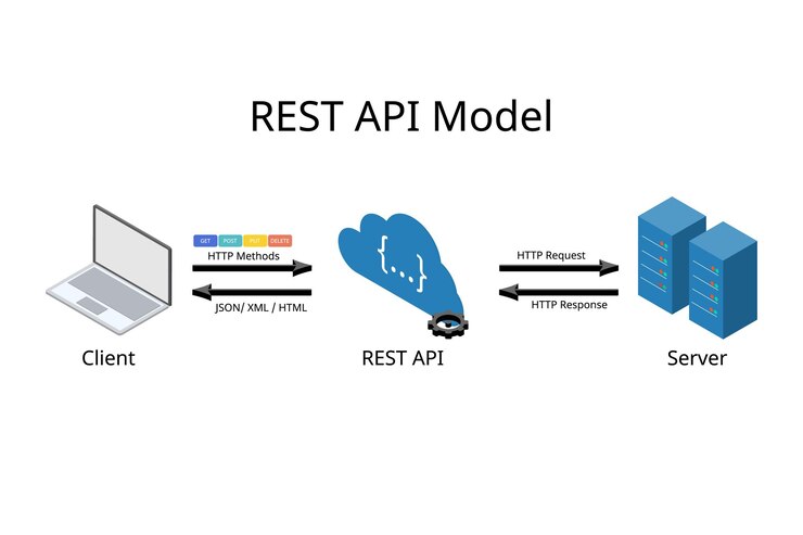 Vector modelo de api rest o paradigma de transferencia de estado representativo desde el cliente al servidor