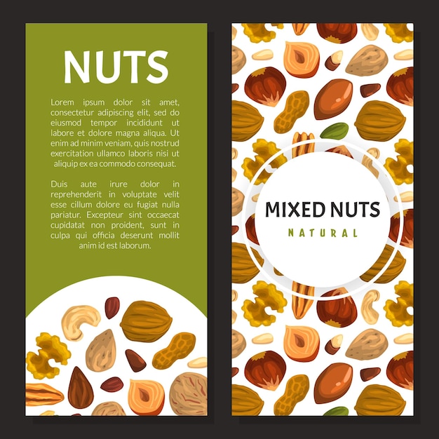 Modelo de bandera vertical vectorial de nueces con caju y almendras
