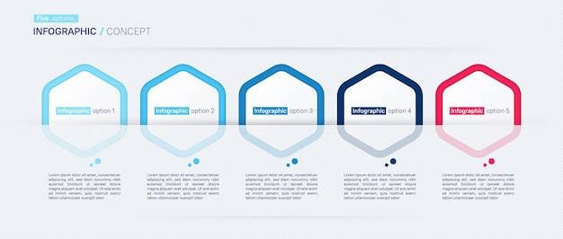 Vector modelo de concepto de infografía vectorial moderno cinco opciones