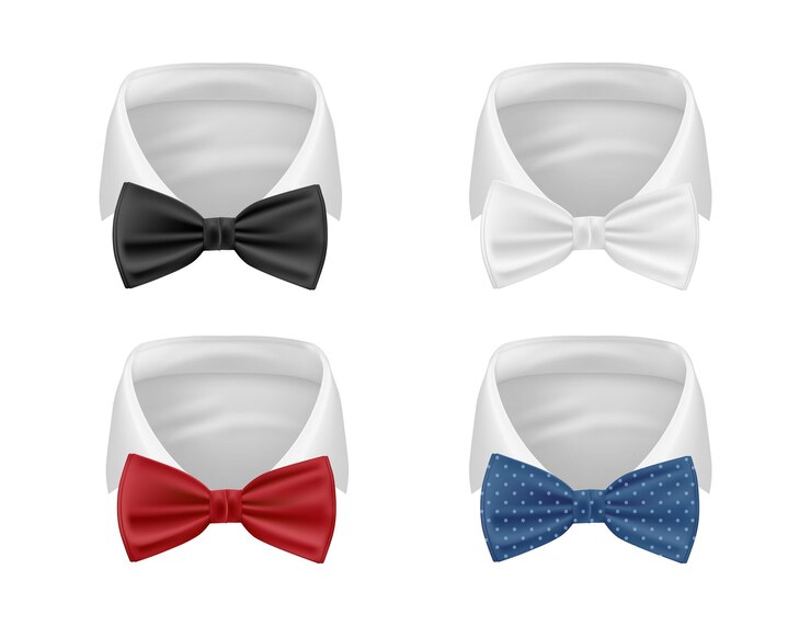 Vector modelo de corbata de papilla accesorios clásicos para trajes