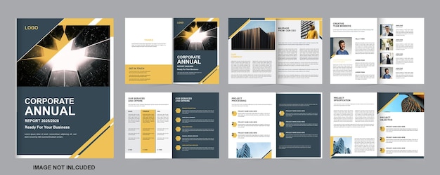 Modelo de diseño de informe anual profesional único