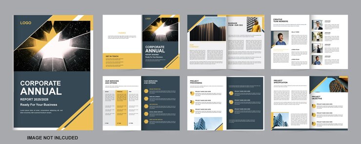Modelo de diseño de informe anual profesional único