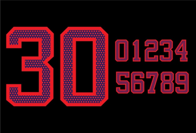 Modelo de diseño de números de camisetas deportivas personalizables Mercancía de equipos de números de carreras modernas