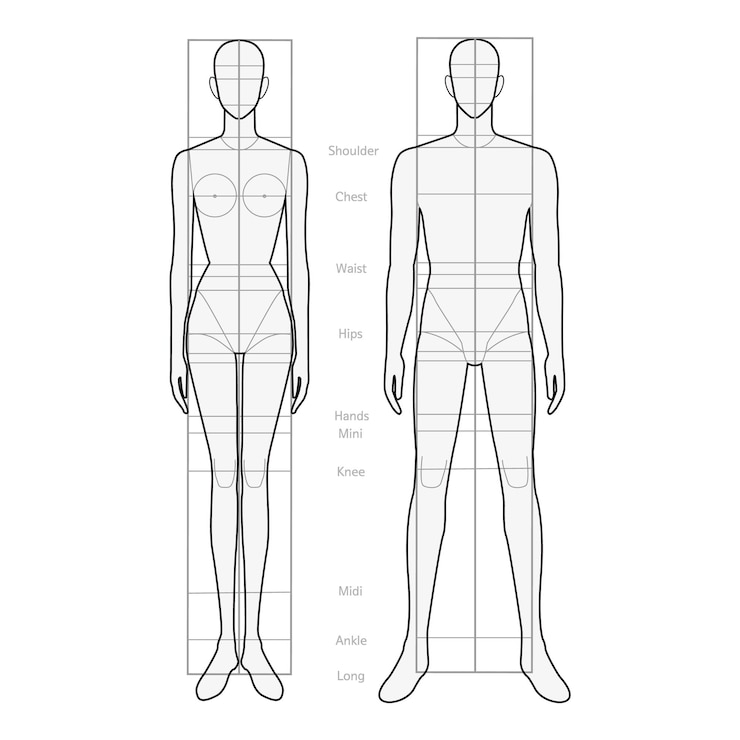 Vector modelo de figura corporal masculina y femenina dibujo técnico