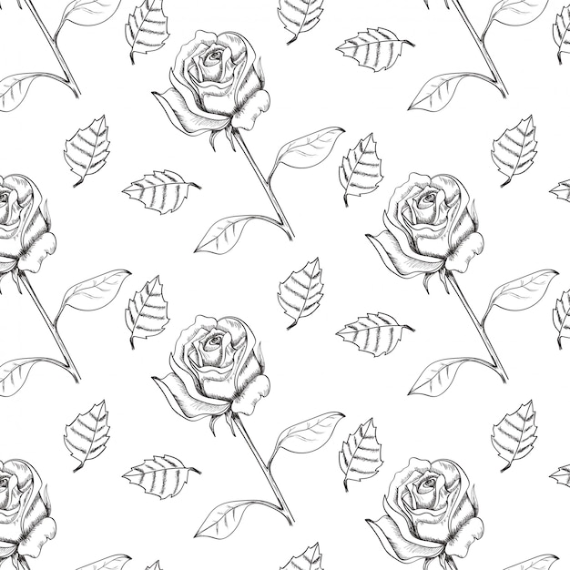 Modelo inconsútil dibujado mano del vector de las rosas de la técnica del bosquejo.