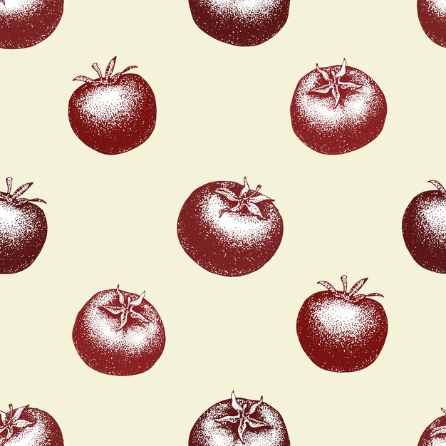 Modelo inconsútil dibujado mano del vector del tomate Fondo grabado estilo vintage de estilo. Puede ser utilizado para el menú, etiqueta, embalaje, mercado agrícola