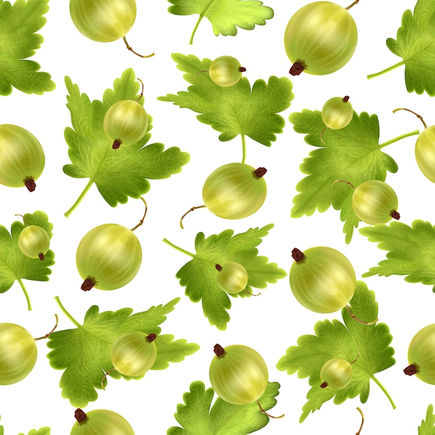 Modelo inconsútil hermoso con la grosella espinosa verde realista 3d. Patrón sin fisuras con malla 3d grosella verde.