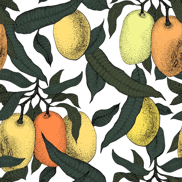 Vector modelo inconsútil de la vendimia del árbol de mango. fondo botánico de la fruta. grabado ilustración retro