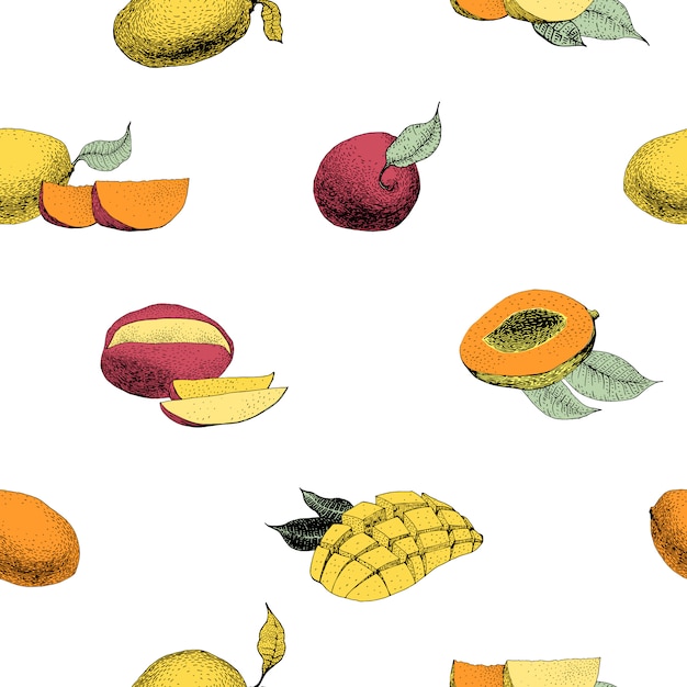 Modelo inconsútil de la vendimia del árbol de mango. Fondo botánico de la fruta. Grabado Ilustración retro