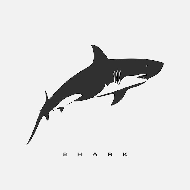 Modelo de logotipo de tiburón vectorial moderno