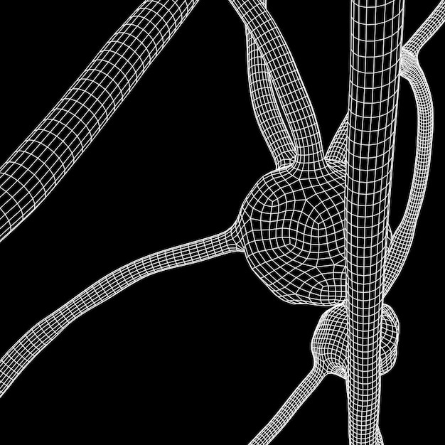 Modelo de malla de alambre del sistema neuronal