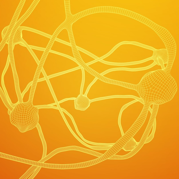 Modelo de malla de alambre del sistema neuronal