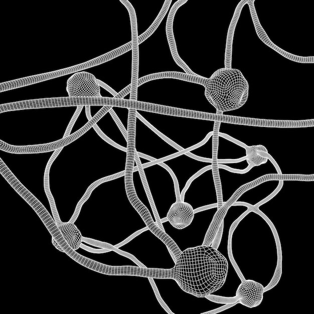 Modelo de malla de alambre del sistema neuronal