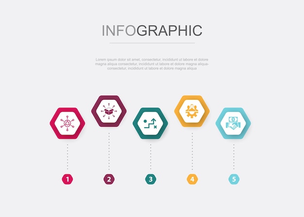 Modelo de negocio estrategia de distribución trabajo en equipo iconos de inversión Plantilla de diseño infográfico Concepto creativo con 5 pasos